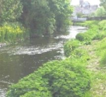 The Ford of Ferdia, photo by Holly Bennett